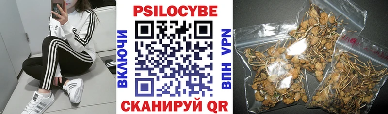 Галлюциногенные грибы ЛСД  Купить закладки  Ирбит 